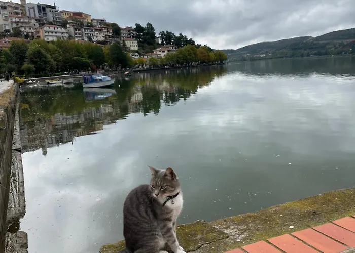 Appartement Deluxe View Kastoria